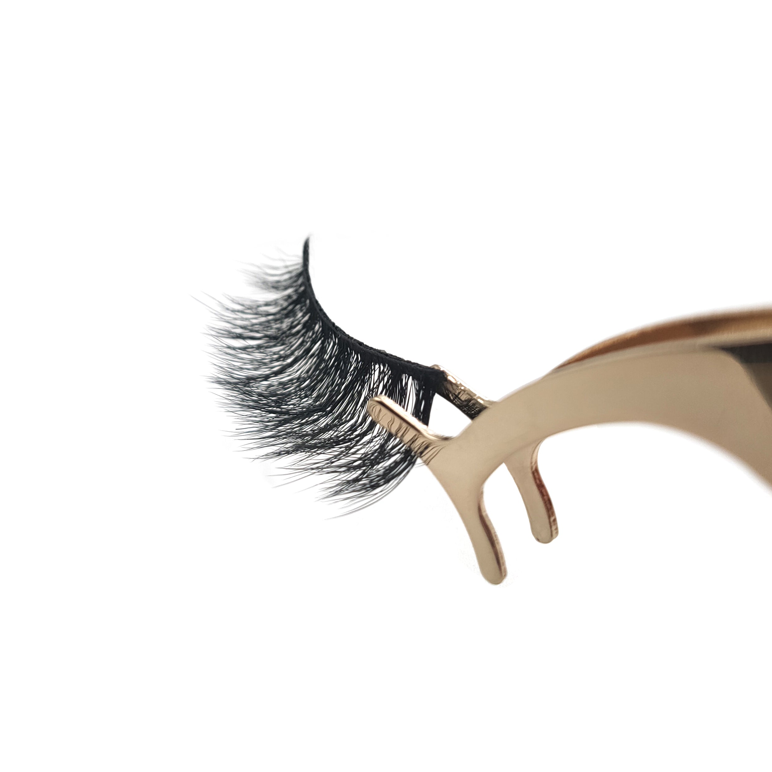 The LDL Morgan 5D Lash